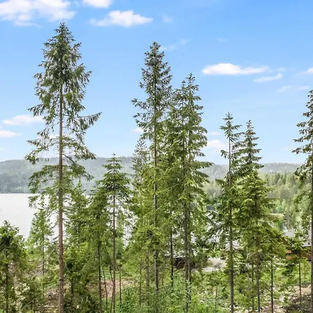 Kolin Kangastus Kielo 3 By Interhome Semesterbostad Kolinkylä